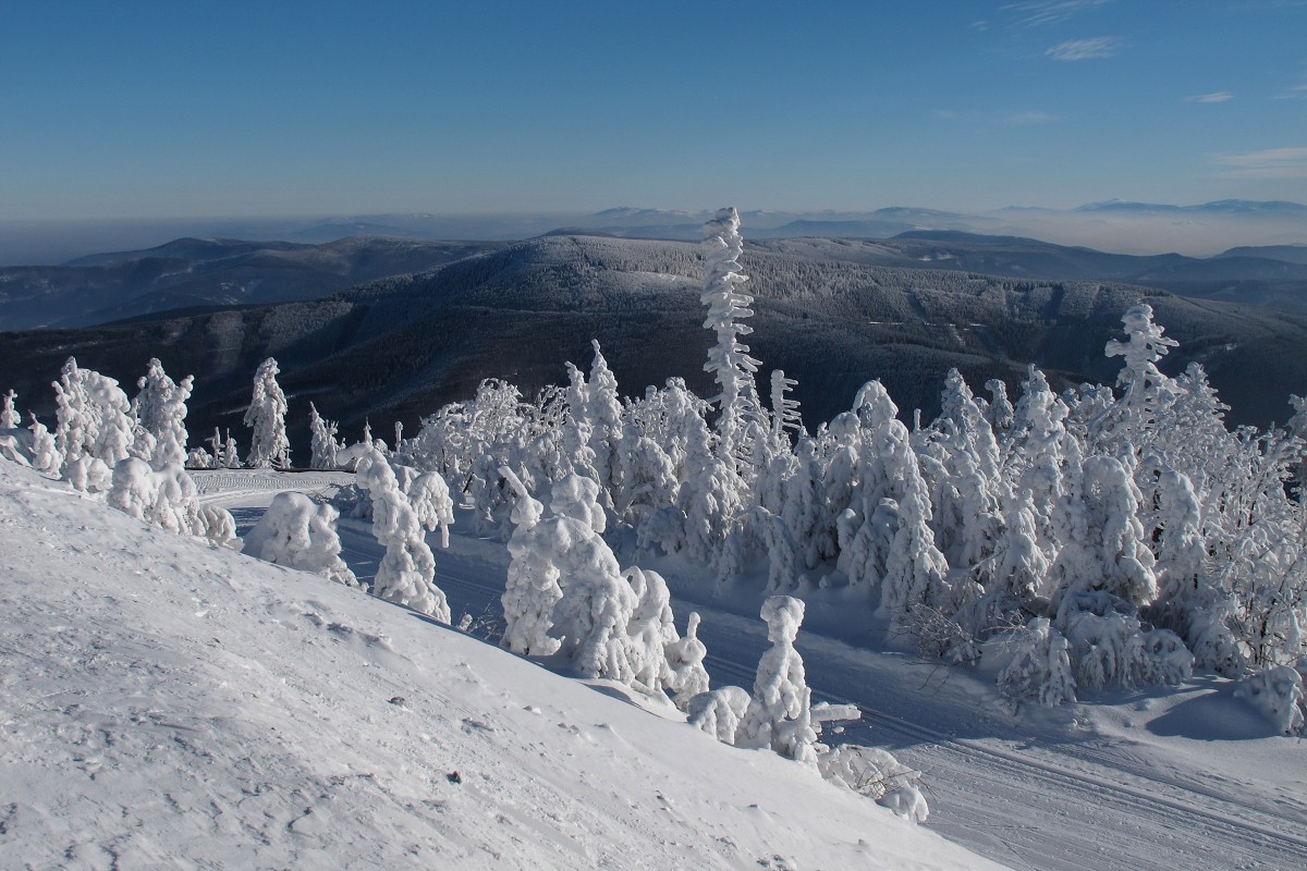 img00024.jpg