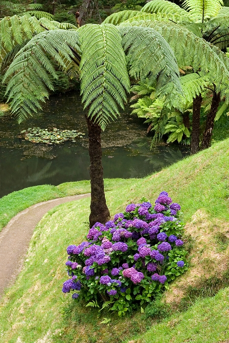 img00040.jpg
