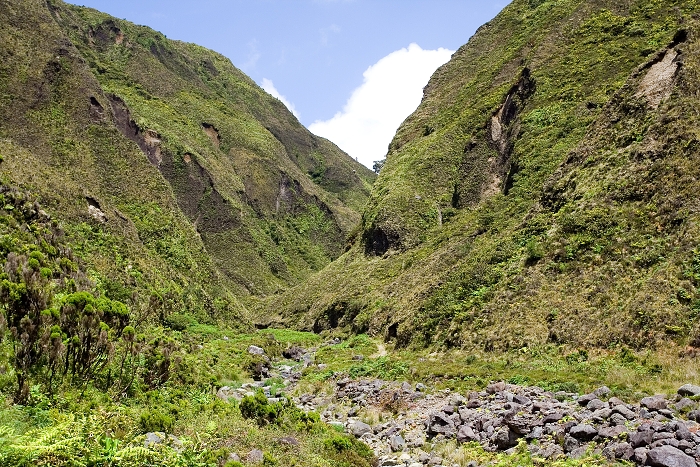 img00101.jpg