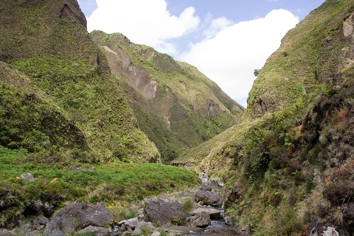 img00110.jpg
