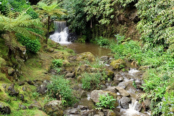 img00118.jpg