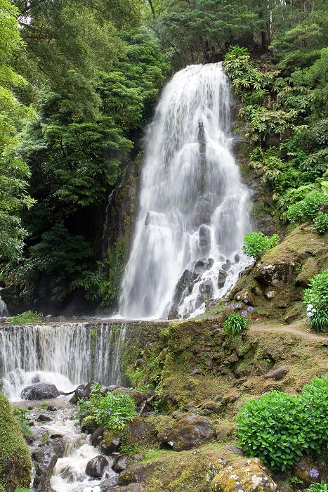 img00119.jpg