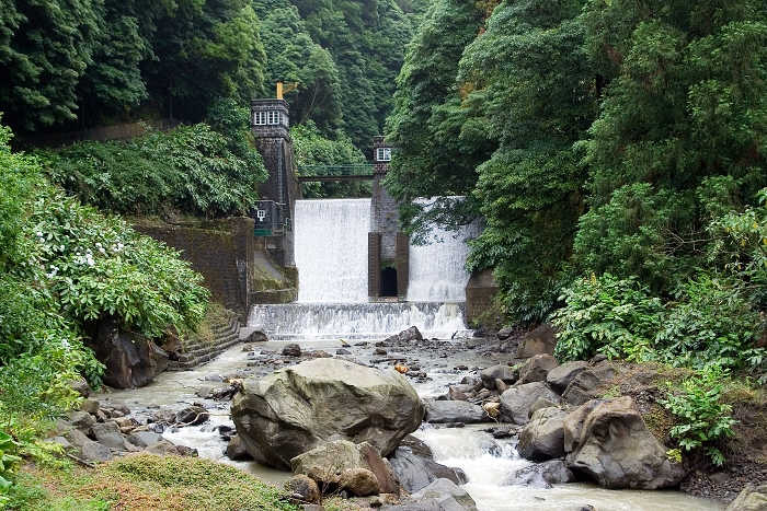 img00141.jpg
