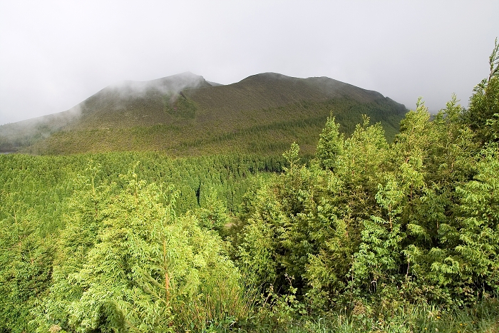img00167.jpg