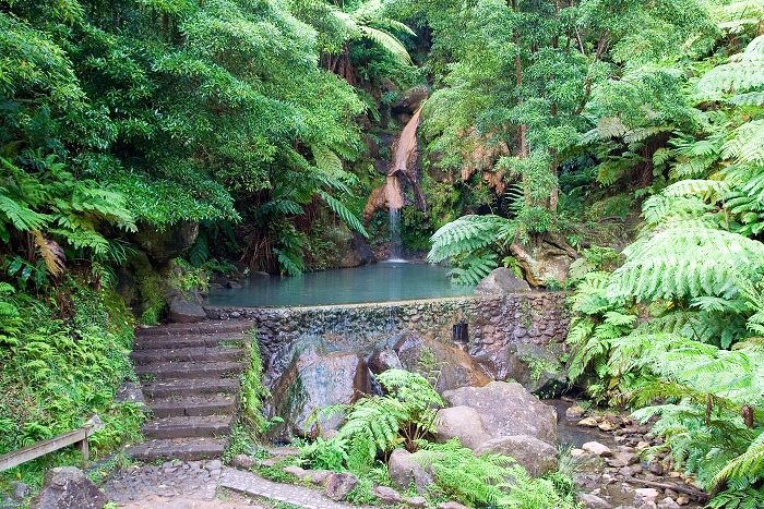 img00187.jpg