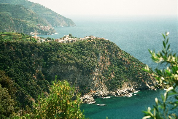 img00045.jpg