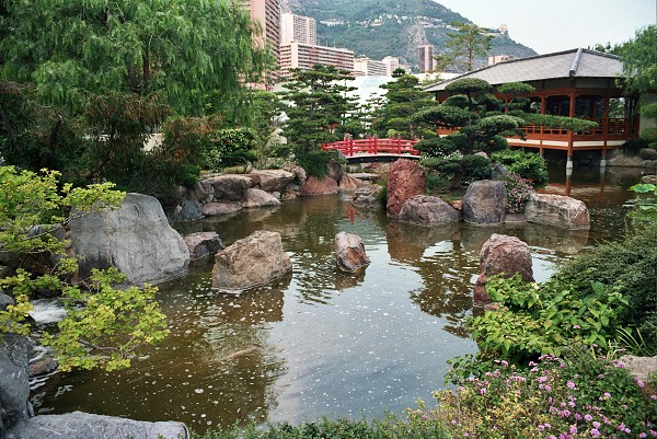 img00082.jpg