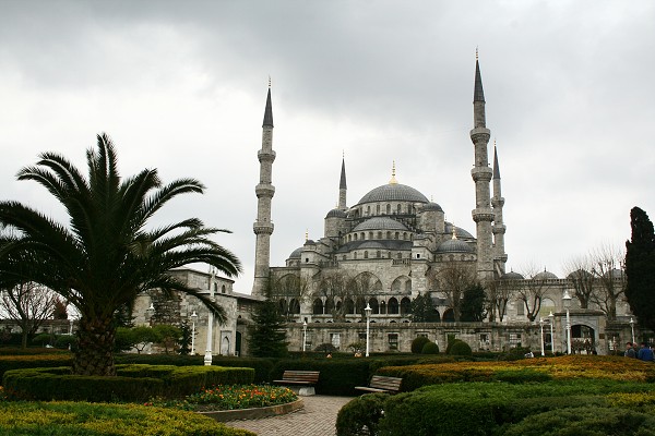 img00010.jpg