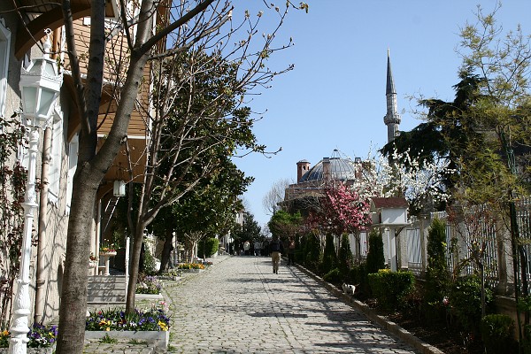 img00032.jpg