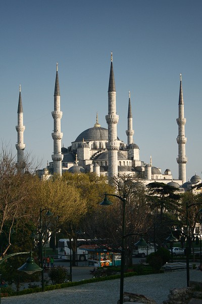 img00041.jpg