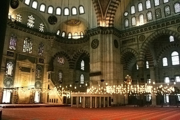 img00048.jpg