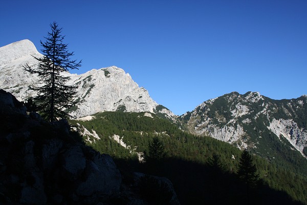 img00007.jpg