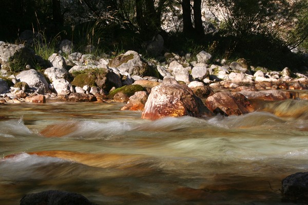 img00054.jpg