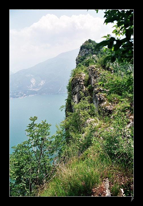 img00021.jpg