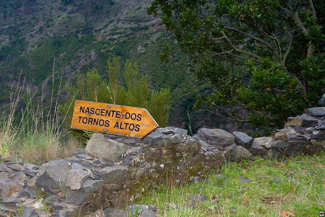 img00025.jpg