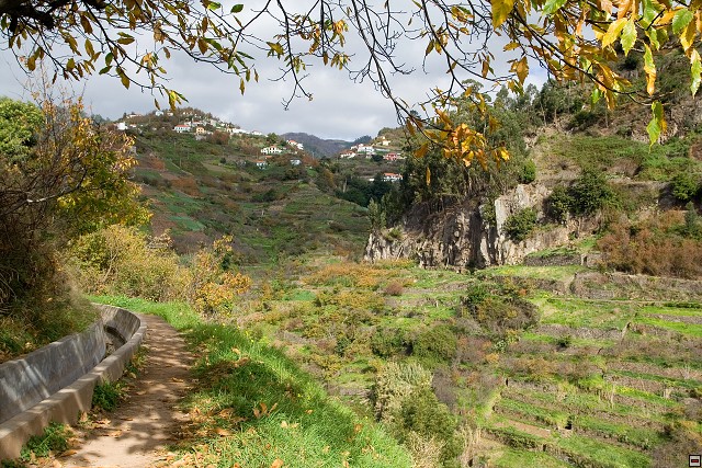img00031.jpg