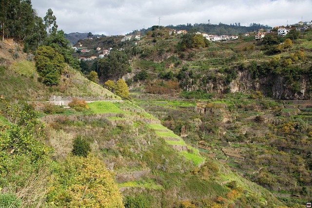 img00032.jpg