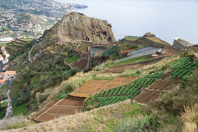 img00040.jpg