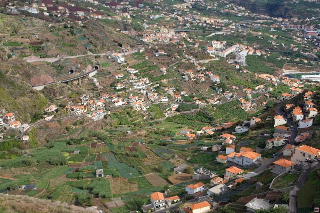 img00041.jpg