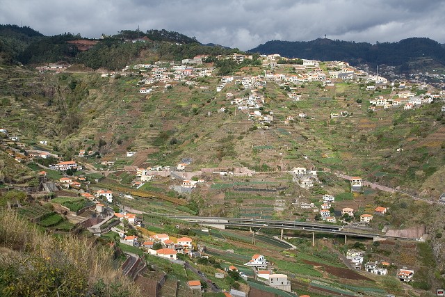 img00042.jpg