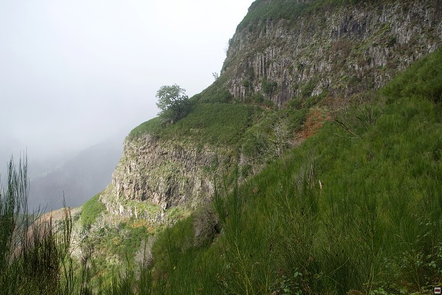 img00067.jpg