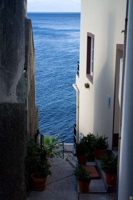 img00091.jpg