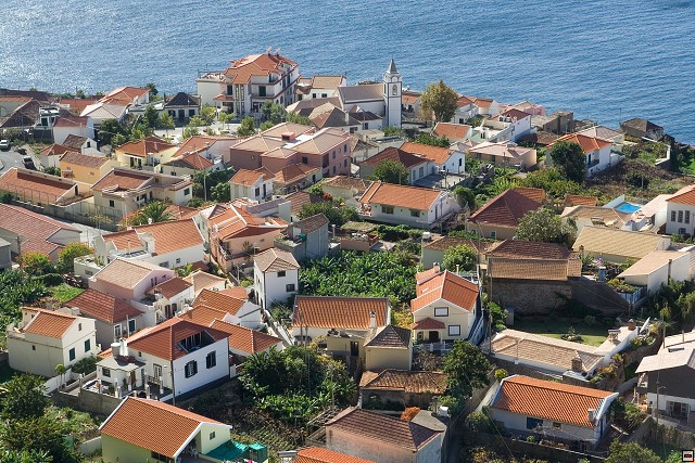 img00103.jpg