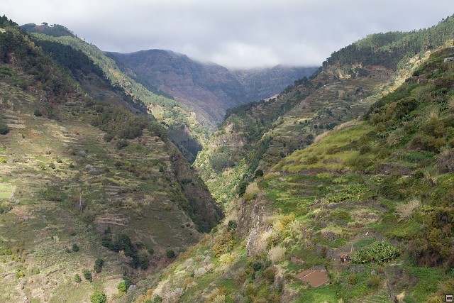 img00111.jpg