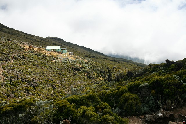 img00054.jpg