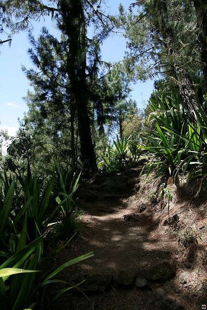 img00062.jpg