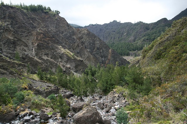 img00067.jpg