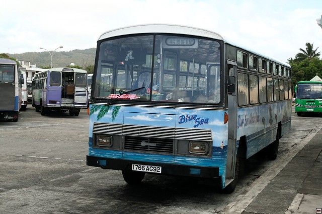 img00136.jpg