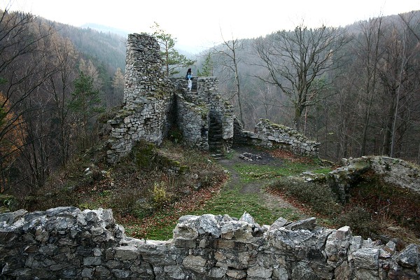 img00046.jpg